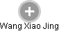 Wang Xiao Jing - Vizualizace  propojení osoby a firem v obchodním rejstříku