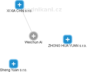 Weichun Ai - Vizualizace  propojení osoby a firem v obchodním rejstříku