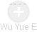 Wu Yue E - Vizualizace  propojení osoby a firem v obchodním rejstříku