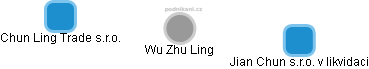 Wu Zhu Ling - Vizualizace  propojení osoby a firem v obchodním rejstříku