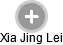 Xia Jing Lei - Vizualizace  propojení osoby a firem v obchodním rejstříku