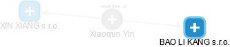  Xiaoqun Y. - Vizualizace  propojení osoby a firem v obchodním rejstříku