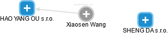  Xiaosen W. - Vizualizace  propojení osoby a firem v obchodním rejstříku