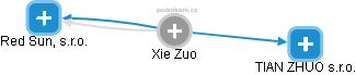 Xie Z. - Vizualizace  propojení osoby a firem v obchodním rejstříku