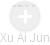 Xu Ai Jun - Vizualizace  propojení osoby a firem v obchodním rejstříku