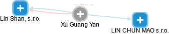 Xu Guang Yan - Vizualizace  propojení osoby a firem v obchodním rejstříku