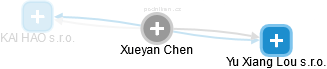 Xueyan Chen - Vizualizace  propojení osoby a firem v obchodním rejstříku