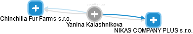 Yanina Kalashnikova - Vizualizace  propojení osoby a firem v obchodním rejstříku