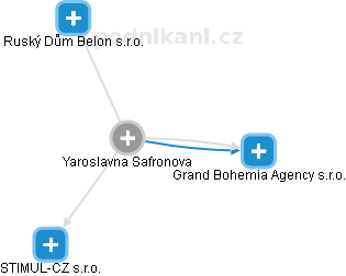 Yaroslavna Safronova - Vizualizace  propojení osoby a firem v obchodním rejstříku