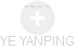 YE YANPING - Vizualizace  propojení osoby a firem v obchodním rejstříku