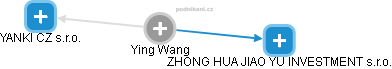 Ying Wang - Vizualizace  propojení osoby a firem v obchodním rejstříku