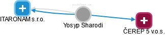 Yosyp Sharodi - Vizualizace  propojení osoby a firem v obchodním rejstříku