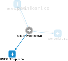 Yulia Nevodnicheva - Vizualizace  propojení osoby a firem v obchodním rejstříku