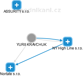  Kravchuk Y. - Vizualizace  propojení osoby a firem v obchodním rejstříku