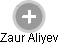 Zaur Aliyev - Vizualizace  propojení osoby a firem v obchodním rejstříku