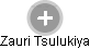 Zauri Tsulukiya - Vizualizace  propojení osoby a firem v obchodním rejstříku