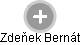 Zdeňek Bernát - Vizualizace  propojení osoby a firem v obchodním rejstříku