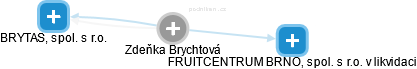 Zdeňka Brychtová - Vizualizace  propojení osoby a firem v obchodním rejstříku