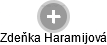 Zdeňka Haramijová - Vizualizace  propojení osoby a firem v obchodním rejstříku