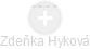 Zdeňka Hyková - Vizualizace  propojení osoby a firem v obchodním rejstříku