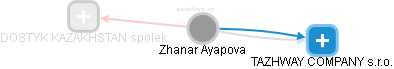  Zhanar A. - Vizualizace  propojení osoby a firem v obchodním rejstříku