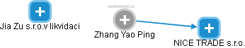 Zhang Yao Ping - Vizualizace  propojení osoby a firem v obchodním rejstříku