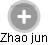 Zhao jun - Vizualizace  propojení osoby a firem v obchodním rejstříku