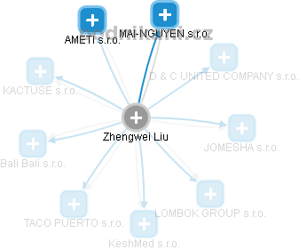  Zhengwei L. - Vizualizace  propojení osoby a firem v obchodním rejstříku