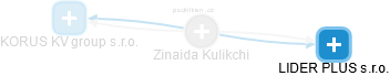 Zinaida Kulikchi - Vizualizace  propojení osoby a firem v obchodním rejstříku