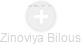 Zinoviya Bilous - Vizualizace  propojení osoby a firem v obchodním rejstříku