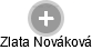 Zlata Nováková - Vizualizace  propojení osoby a firem v obchodním rejstříku