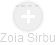 Zoia Sirbu - Vizualizace  propojení osoby a firem v obchodním rejstříku