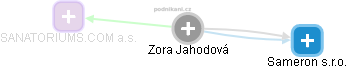 Zora Jahodová - Vizualizace  propojení osoby a firem v obchodním rejstříku