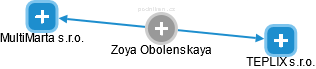 Zoya Obolenskaya - Vizualizace  propojení osoby a firem v obchodním rejstříku