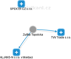 Zulfiia Topolska - Vizualizace  propojení osoby a firem v obchodním rejstříku