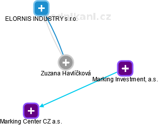  Zuzana H. - Vizualizace  propojení osoby a firem v obchodním rejstříku