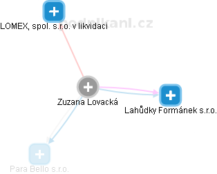 Zuzana Lovacká - Vizualizace  propojení osoby a firem v obchodním rejstříku