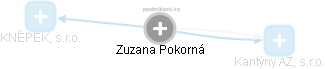  Zuzana P. - Vizualizace  propojení osoby a firem v obchodním rejstříku